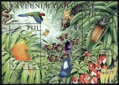 Taveuni Rainforest : Taveuni Rainforest :